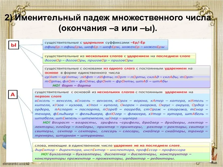 2) Именительный падеж множественного числа (окончания –а или –ы).