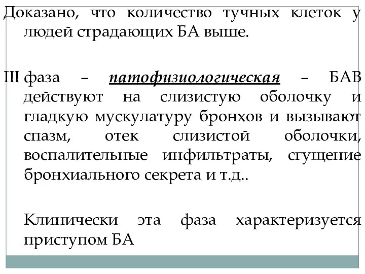 Доказано, что количество тучных клеток у людей страдающих БА выше. III фаза