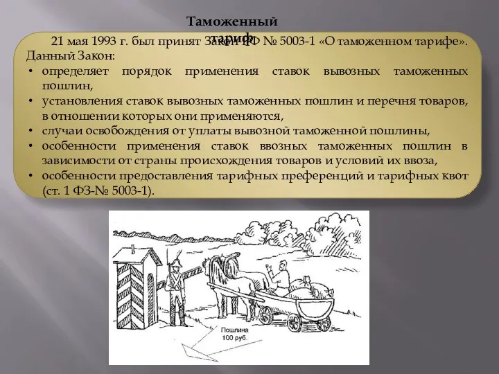 21 мая 1993 г. был принят Закон РФ № 5003-1 «О таможенном