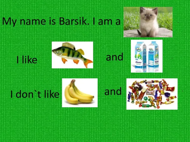 My name is Barsik. I am a I like and . .