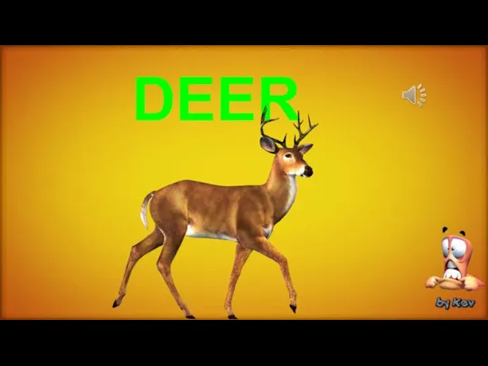 DEER