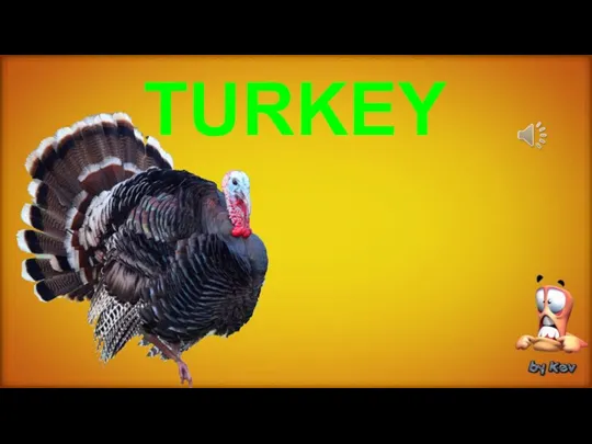 TURKEY