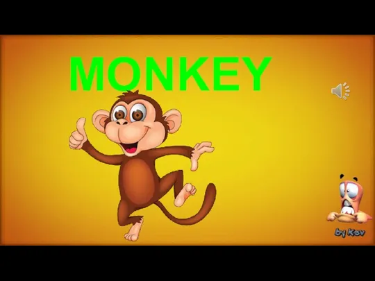 MONKEY