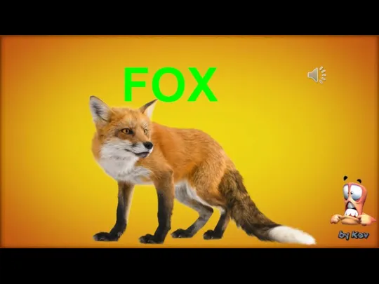 FOX