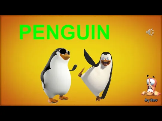 PENGUIN