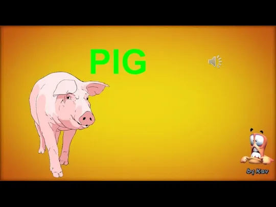 PIG