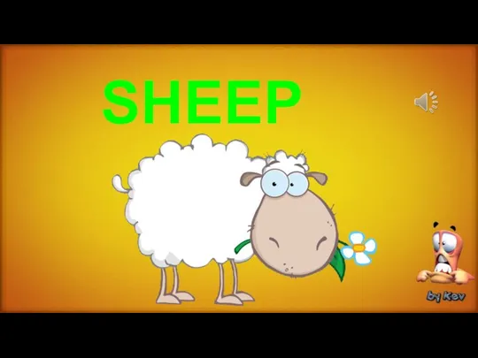 SHEEP