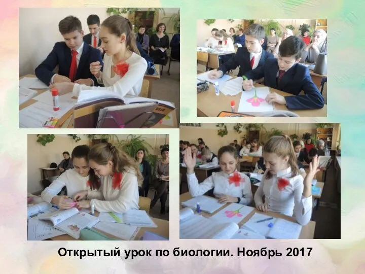 Открытый урок по биологии. Ноябрь 2017