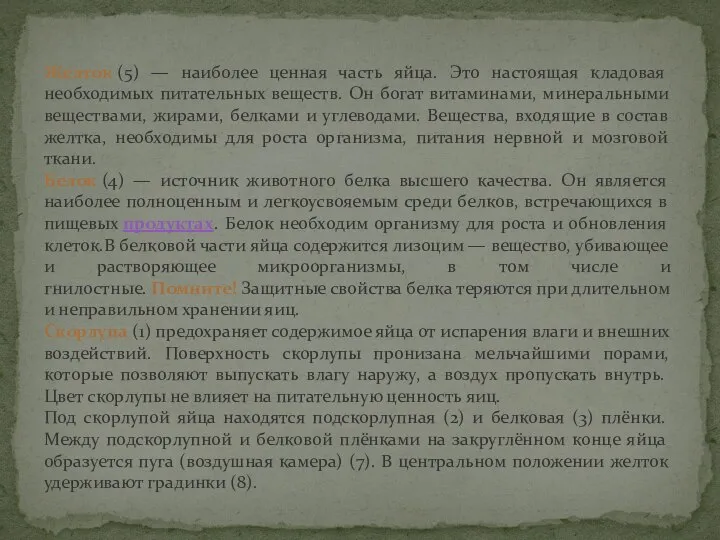 Желток (5) — наиболее ценная часть яйца. Это настоящая кладовая необходимых питательных