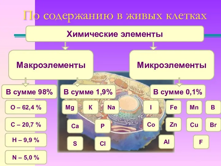 Макроэлементы Микроэлементы По содержанию в живых клетках В сумме 98% Химические элементы