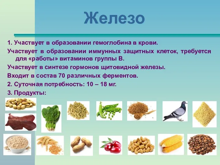 Железо 1. Участвует в образовании гемоглобина в крови. Участвует в образовании иммунных