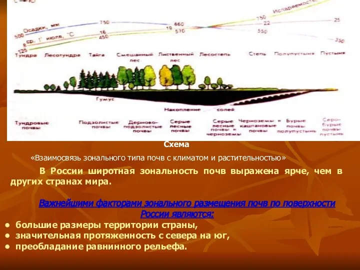 В России широтная зональность почв выражена ярче, чем в других странах мира.