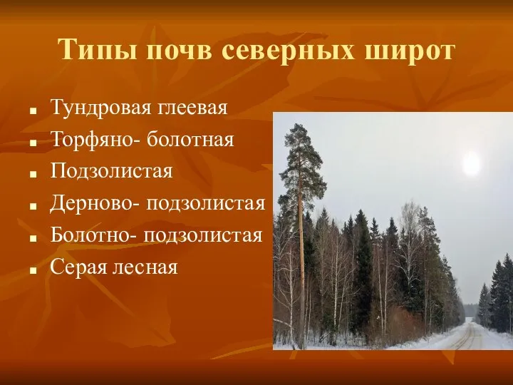 Типы почв северных широт Тундровая глеевая Торфяно- болотная Подзолистая Дерново- подзолистая Болотно- подзолистая Серая лесная