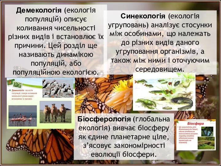Демекологія (екологія популяцій) описує коливання чисельності різних видів і встановлює їх причини.