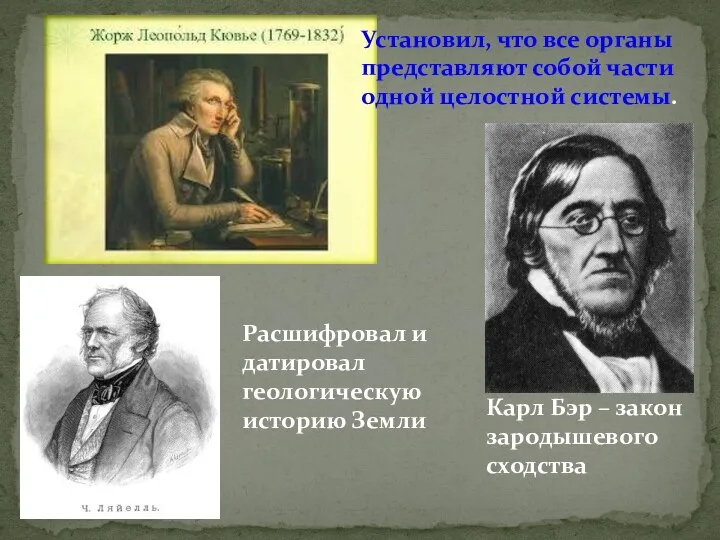 Установил, что все органы представляют собой части одной целостной системы. Карл Бэр