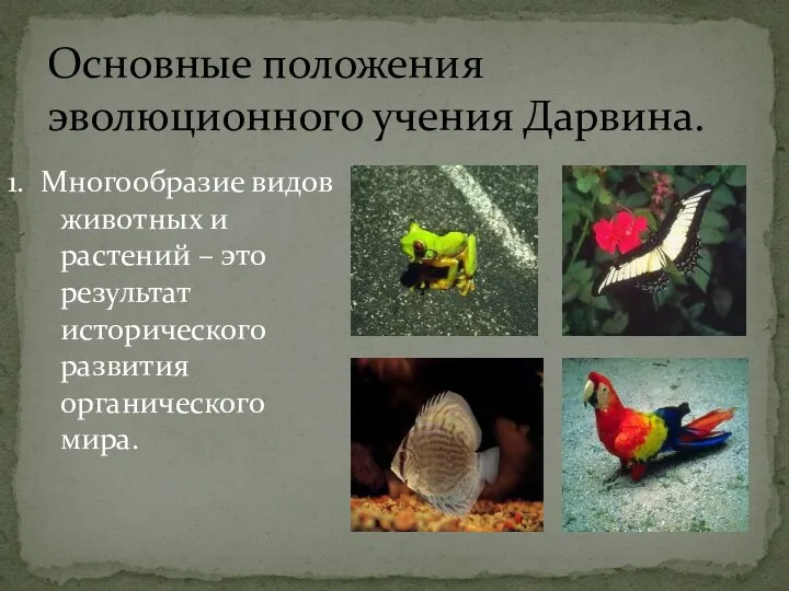Основные положения эволюционного учения Дарвина. 1. Многообразие видов животных и растений –