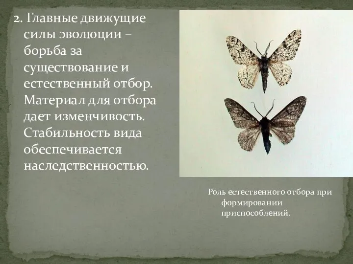 2. Главные движущие силы эволюции – борьба за существование и естественный отбор.