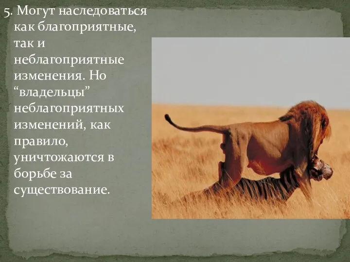 5. Могут наследоваться как благоприятные, так и неблагоприятные изменения. Но “владельцы” неблагоприятных