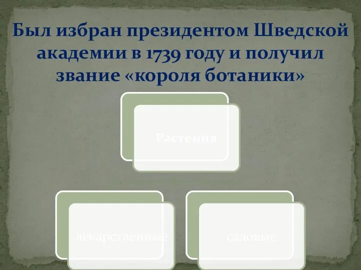 Был избран президентом Шведской академии в 1739 году и получил звание «короля ботаники»