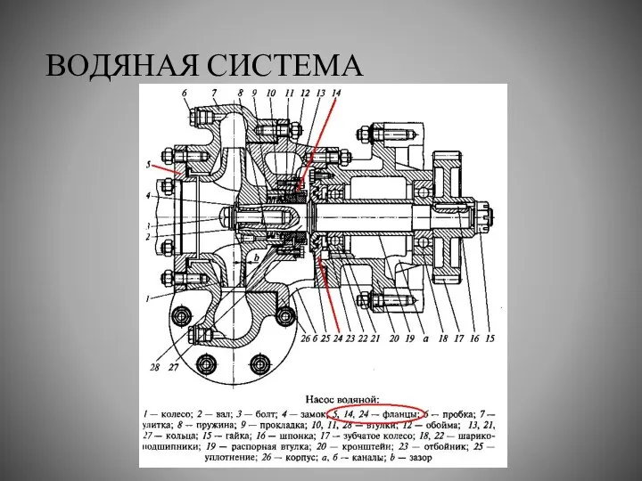 ВОДЯНАЯ СИСТЕМА