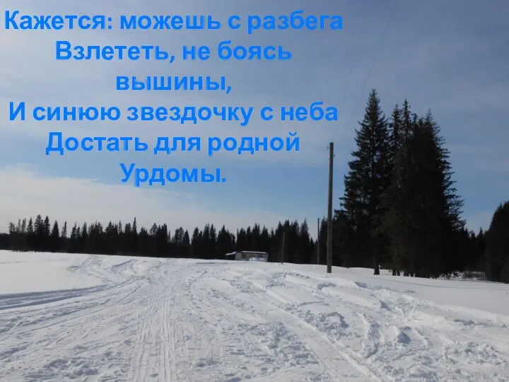 Кажется: можешь с разбега Взлететь, не боясь вышины, И синюю звездочку с