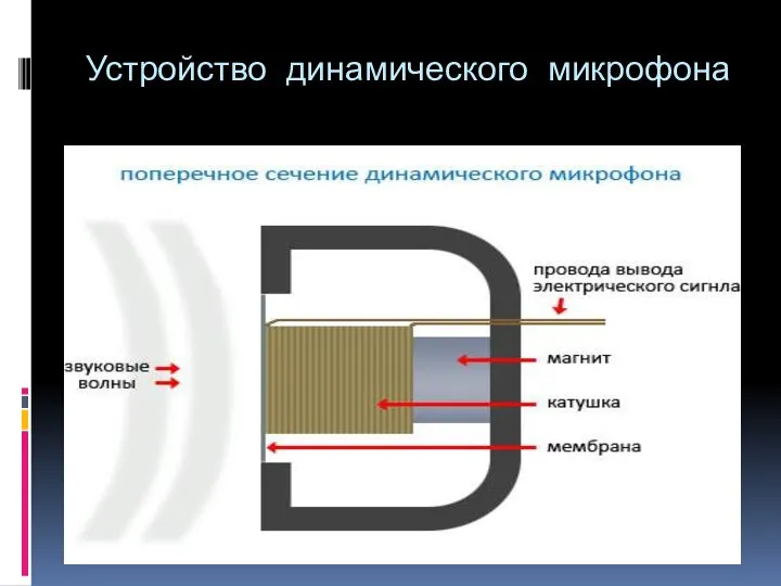 Устройство динамического микрофона