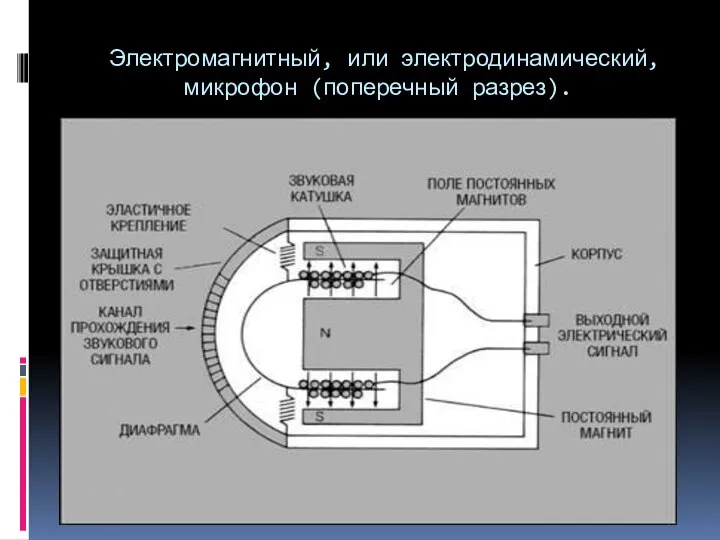 Электромагнитный, или электродинамический, микрофон (поперечный разрез).