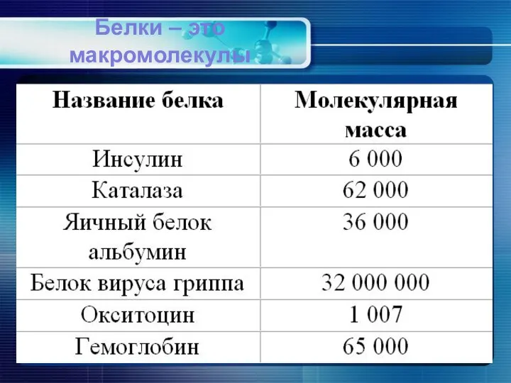 Белки – это макромолекулы