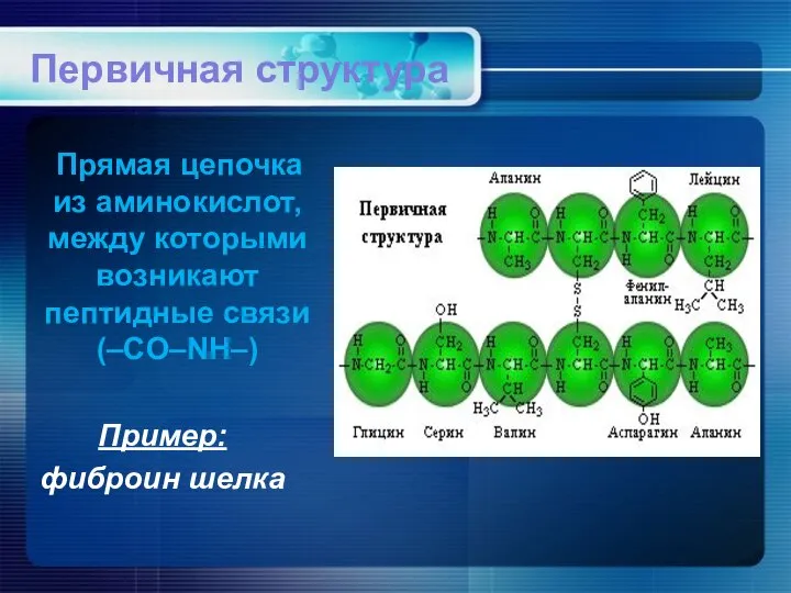 Первичная структура Прямая цепочка из аминокислот, между которыми возникают пептидные связи (–CO–NH–) Пример: фиброин шелка