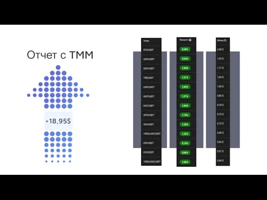 Отчет с TMM