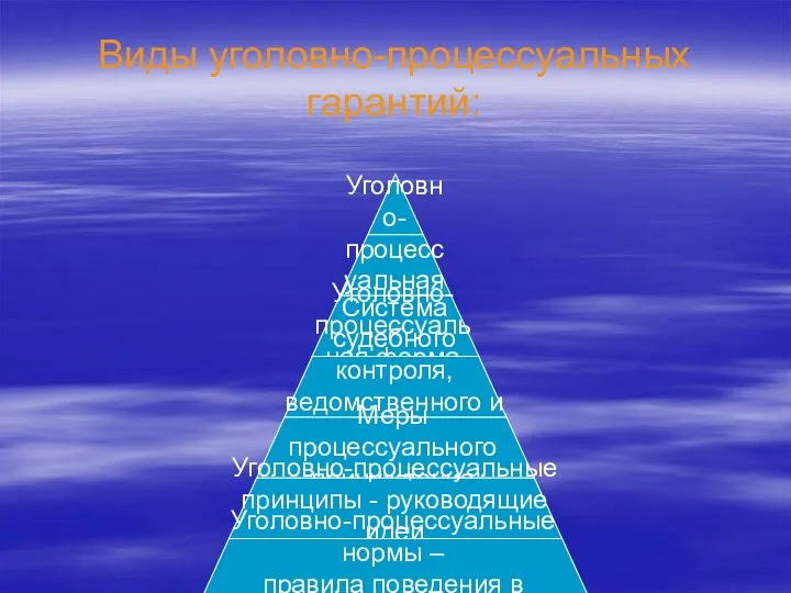 Виды уголовно-процессуальных гарантий: