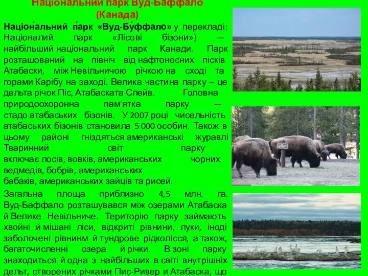Національний парк Вуд-Баффало (Канада) Націон́альний п́арк «Вуд-Бу́ффало» у перекладі: Націоналий парк «Лісові