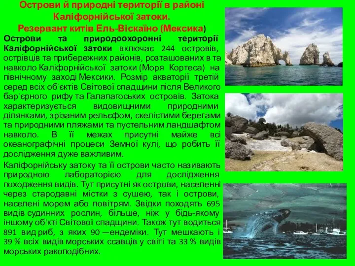 Острови й природні території в районі Каліфорнійської затоки. Резервант китів Ель-Віскаїно (Мексика)