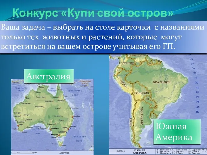 Конкурс «Купи свой остров» Ваша задача – выбрать на столе карточки с