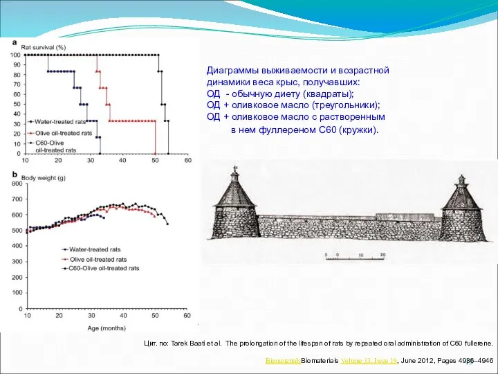 Цит. по: Tarek Baati et al. The prolongation of the lifespan of