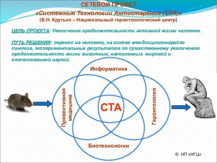 © НП «НГЦ» СЕТЕВОЙ ПРОЕКТ «Системные Технологии Антистарения (СТА)» (В.Н. Крутько –