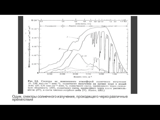 Одум, спектры солнечного излучения, проходящего через различные препятствия