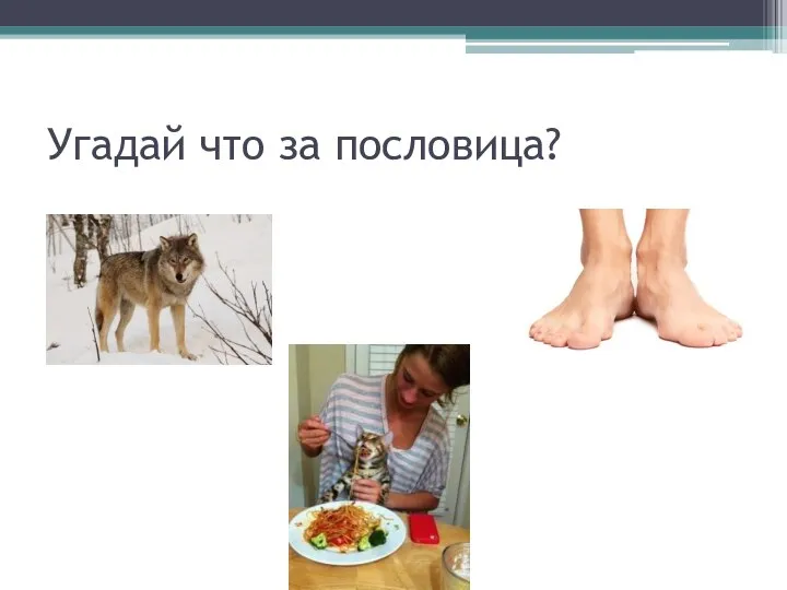 Угадай что за пословица?