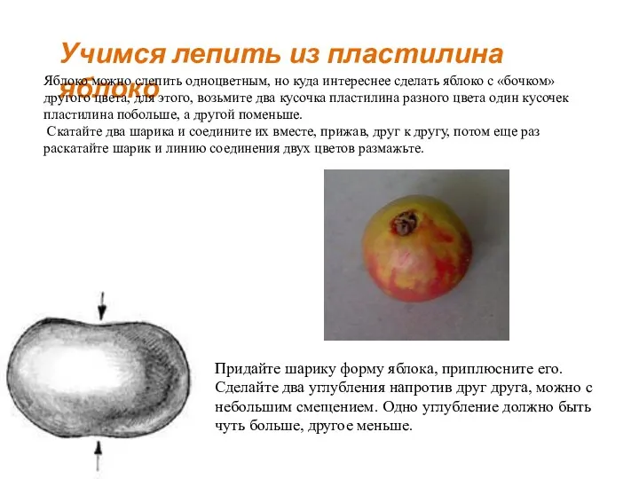 Учимся лепить из пластилина яблоко Яблоко можно слепить одноцветным, но куда интереснее