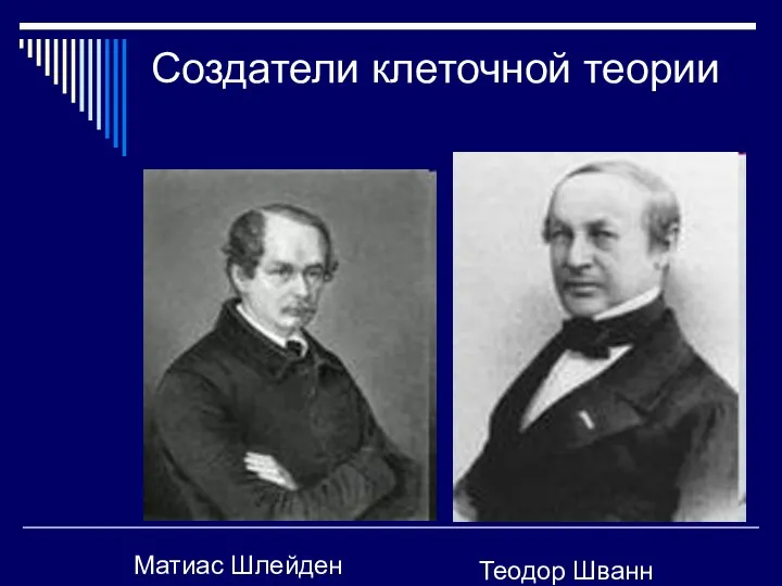 Создатели клеточной теории Матиас Шлейден Теодор Шванн