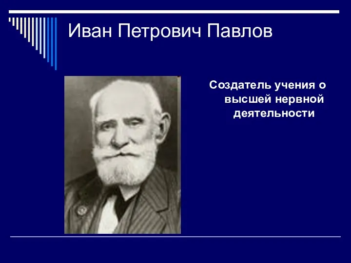 Иван Петрович Павлов Создатель учения о высшей нервной деятельности