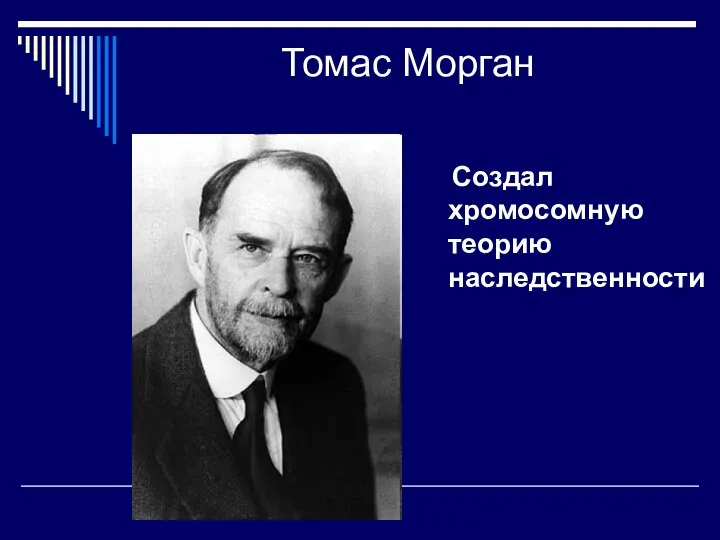 Томас Морган Создал хромосомную теорию наследственности