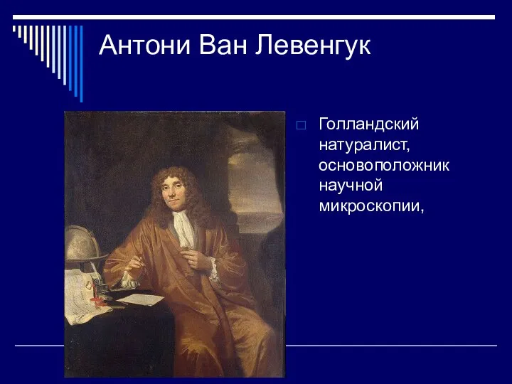 Антони Ван Левенгук Голландский натуралист, основоположник научной микроскопии,