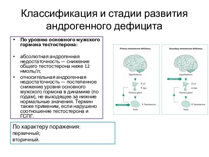 Классификация и стадии развития андрогенного дефицита По уровню основного мужского гормона тестостерона: