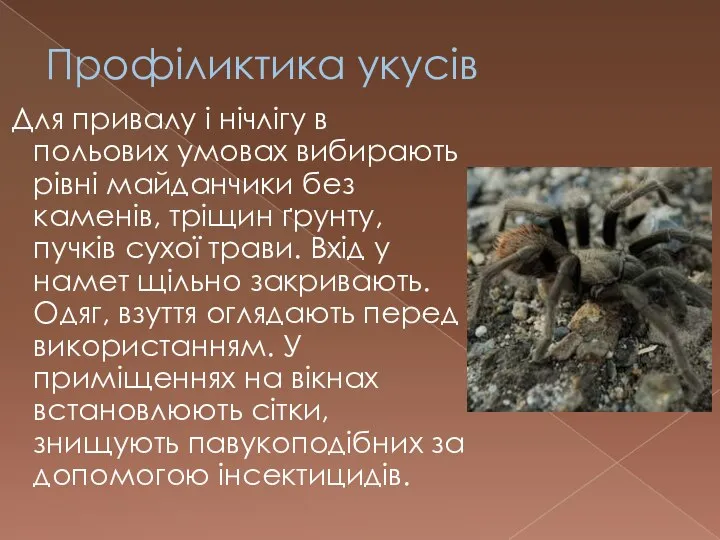 Профіликтика укусів Для привалу і нічлігу в польових умовах вибирають рівні майданчики