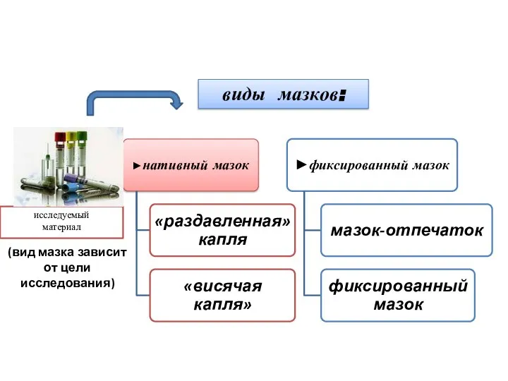 исследуемый материал виды мазков: (вид мазка зависит от цели исследования)