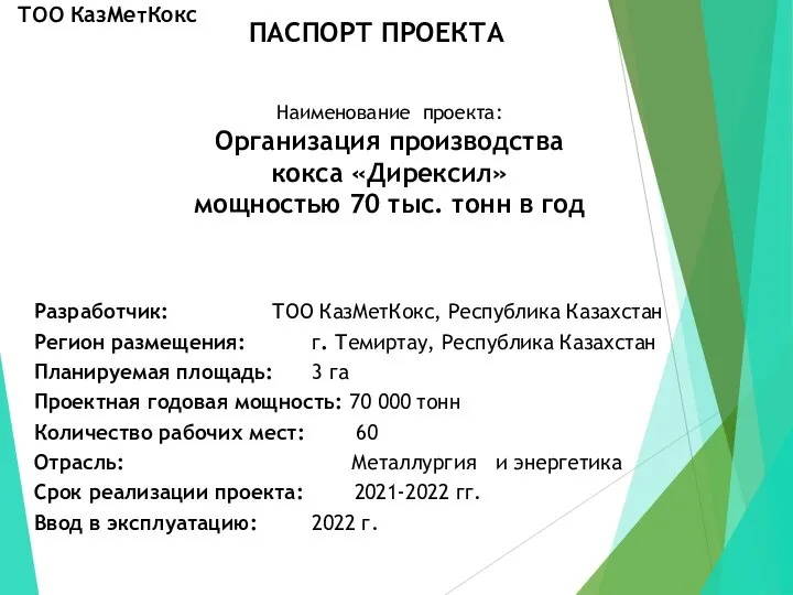 ПАСПОРТ ПРОЕКТА Наименование проекта: Организация производства кокса «Дирексил» мощностью 70 тыс. тонн
