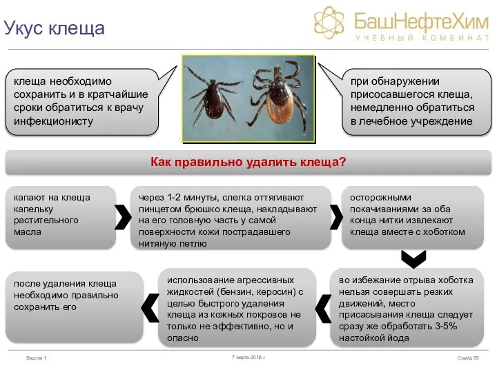 Укус клеща Слайд 7 марта 2018 г. при обнаружении присосавшегося клеща, немедленно