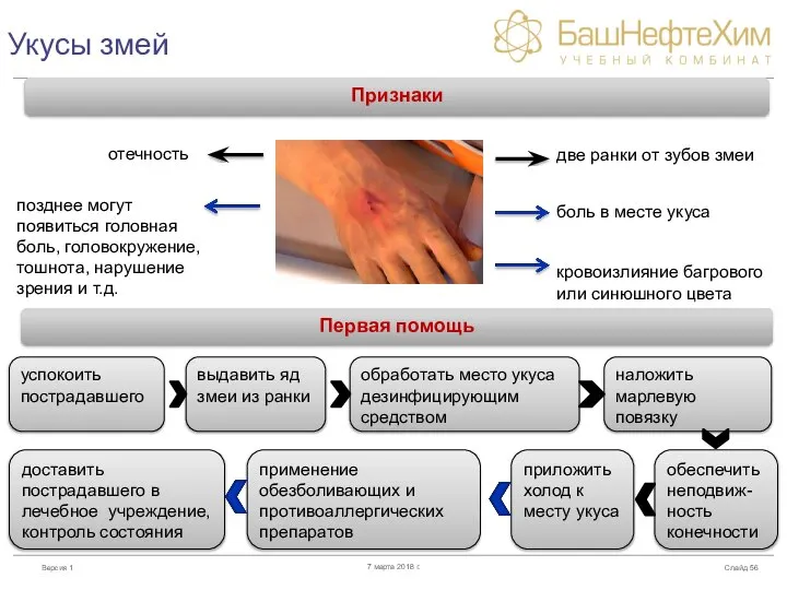 Укусы змей Слайд 7 марта 2018 г. Признаки две ранки от зубов