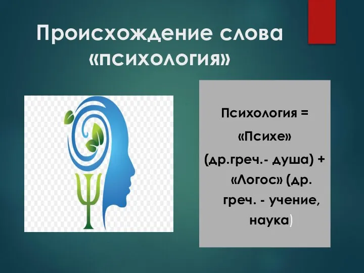 Происхождение слова «психология» Психология = «Психе» (др.греч.- душа) + «Логос» (др.греч. - учение, наука)